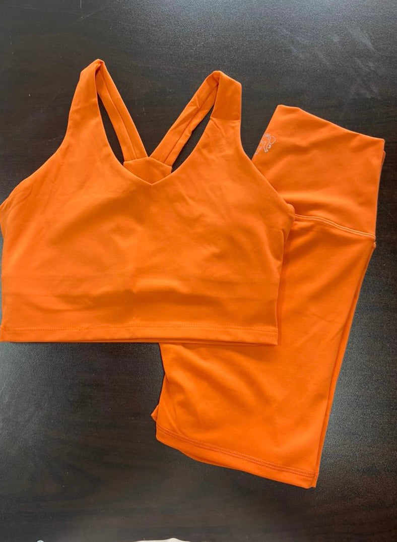 Adult Sports Bra and legging sets