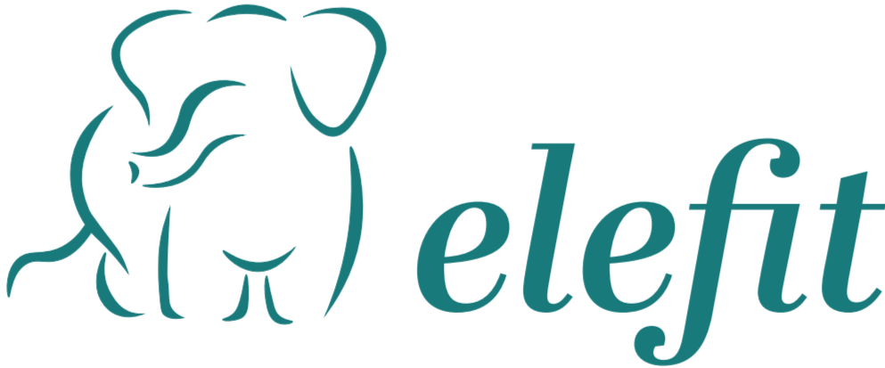 Elefit- Fitness Solutions